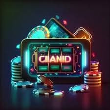wibd